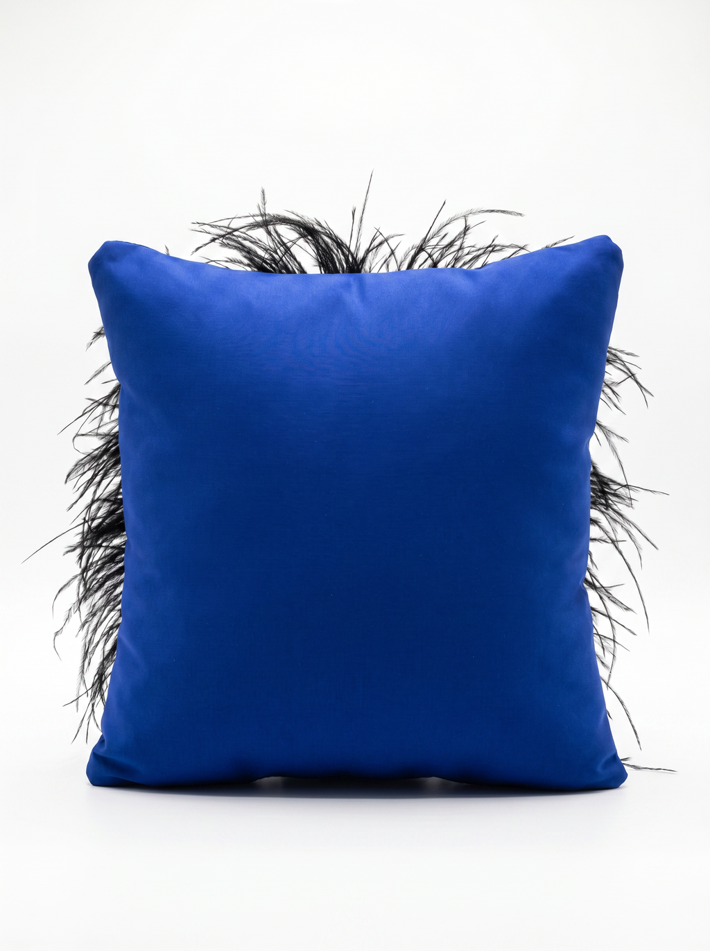 Coussin bleu orné de plumes noires et de Madone