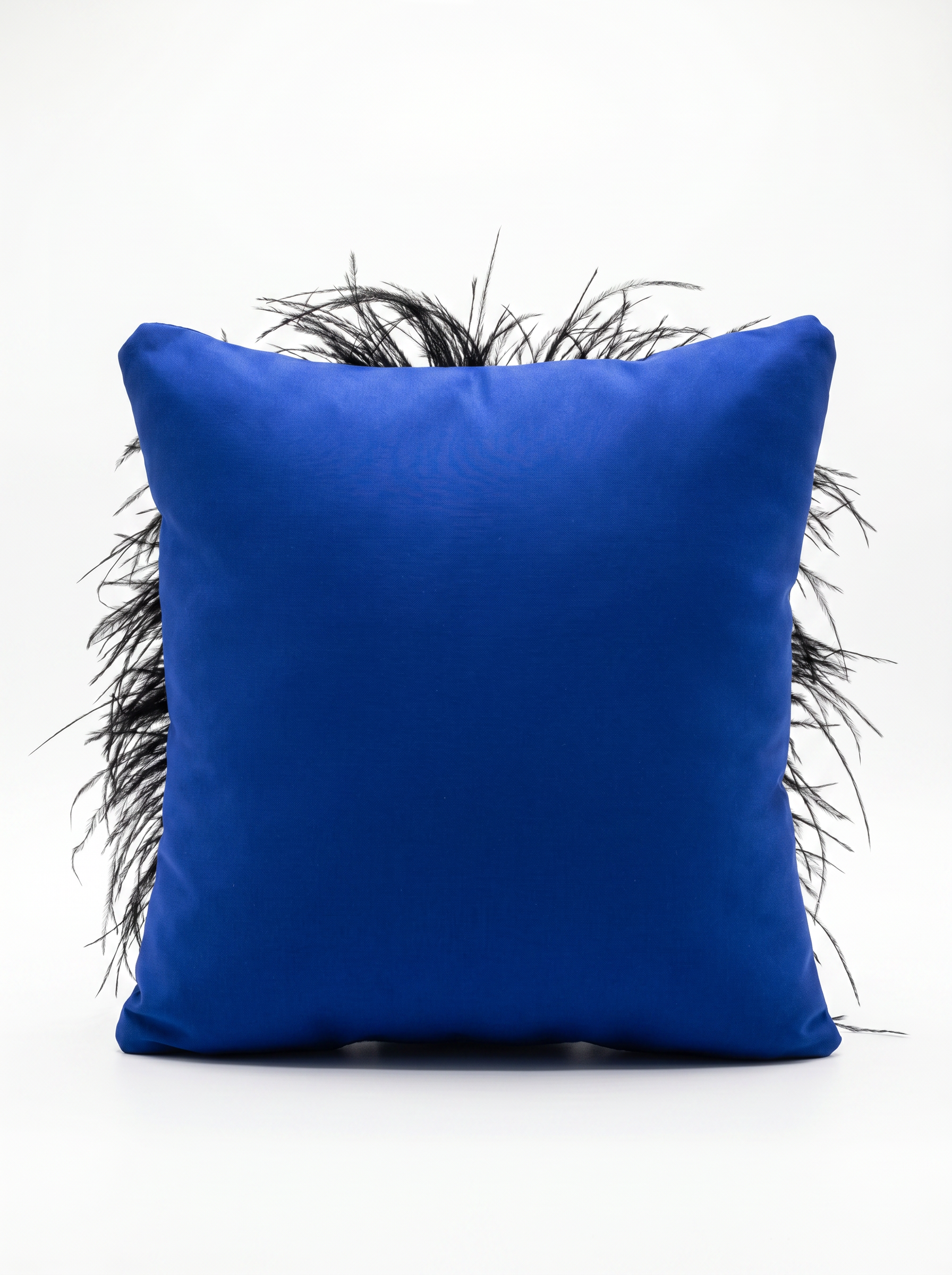 Coussin bleu orné de plumes noires et de Madone